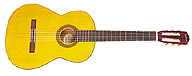 classical guitar